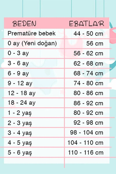 0 - 12 Ay Kulaklı Welsoft Dış Kundak Bebek Battaniye - 4