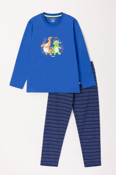 10-16 Years Old Boys Pajama-Pls - 875-Blue - 29