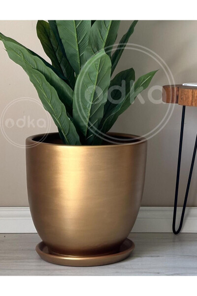 10 Liter Classic Pot with Draining Tray, Diameter: 25cm Height: 23cm Gold - 3