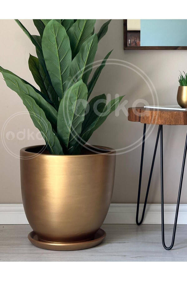 10 Liter Classic Pot with Draining Tray, Diameter: 25cm Height: 23cm Gold - 4