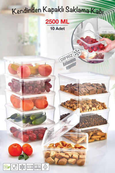 10 Pack Lyon Freezer Safe Storage Containers | Square Self-Sealing Storage Container 2.5 Lt - 1