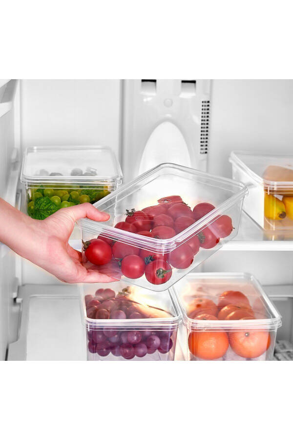 10 Pack Lyon Freezer Safe Storage Containers | Square Self-Sealing Storage Container 2.5 Lt - 3