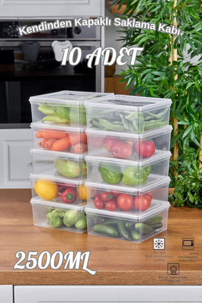 10 Pack Refrigerator Organizer Self-Sealing Microwave and Freezer Safe 2500 ML Square Storage Container - 1