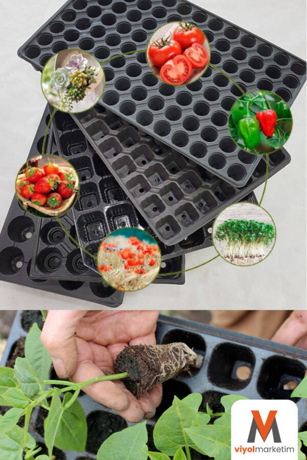 128 Cell Seedling Tray 10 Pieces Seedling Trays Seed Germination Container Seedling Growing Container - 2