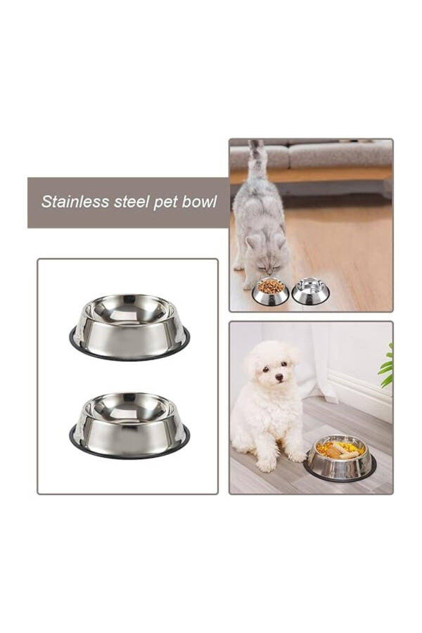 2 Piece Stainless Steel Food and Water Bowls, Base Diameter 16 Cm (250 ML-8 OZ) - 3