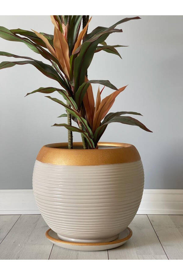 27cm Striped Cream-Gold Sphere Pot with Saucer - 5