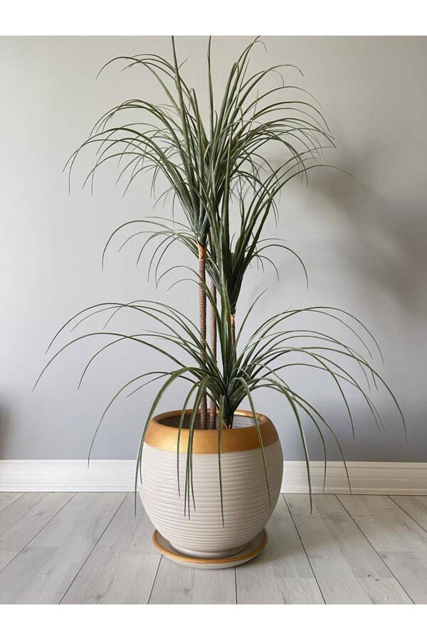 27cm Striped Cream-Gold Sphere Pot with Saucer - 1