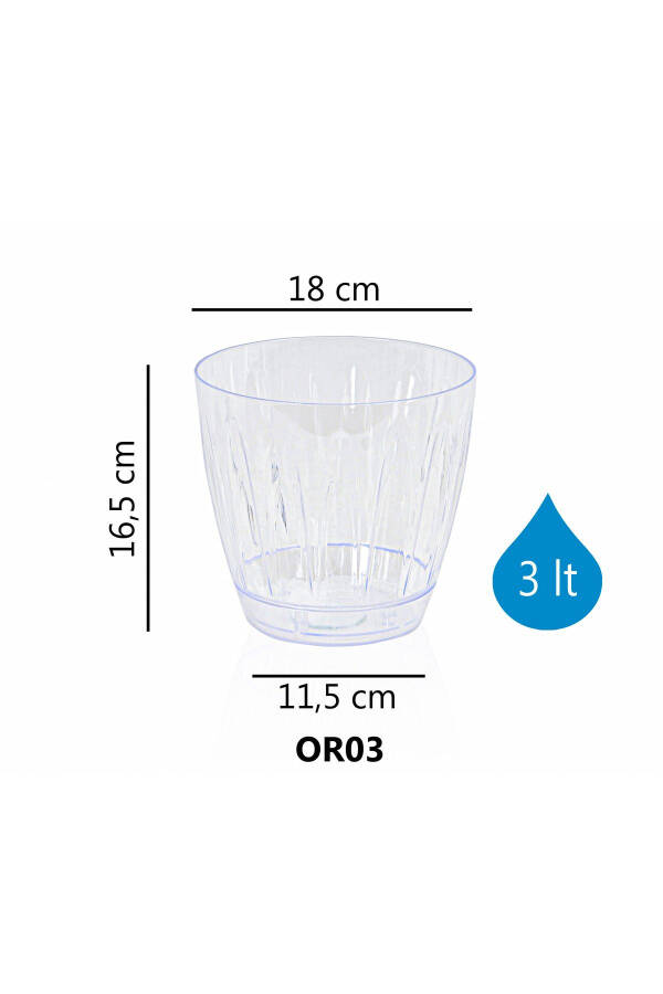 3 L Transparent Plastic Pot with Tray for Daisy Orchid - 3