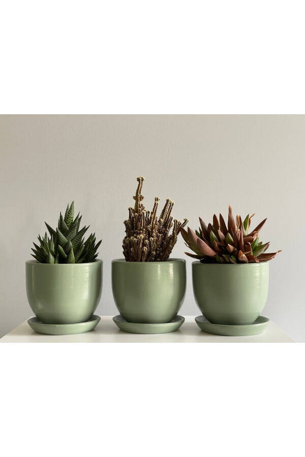 3-Piece Mini Pot Set 10cmx12cm Mint Green - 1