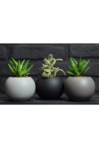 3 Piece Round Pot Black White Grey Cactus Succulent Pot - 1