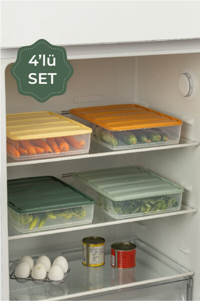 4-Piece Colorful Large Bella Refrigerator Organizer - 2