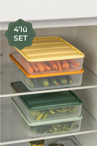 4-Piece Colorful Large Bella Refrigerator Organizer - 3