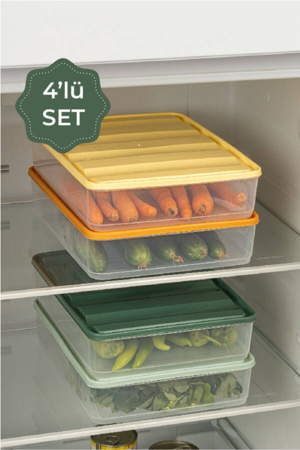 4-Piece Colorful Large Bella Refrigerator Organizer - 3