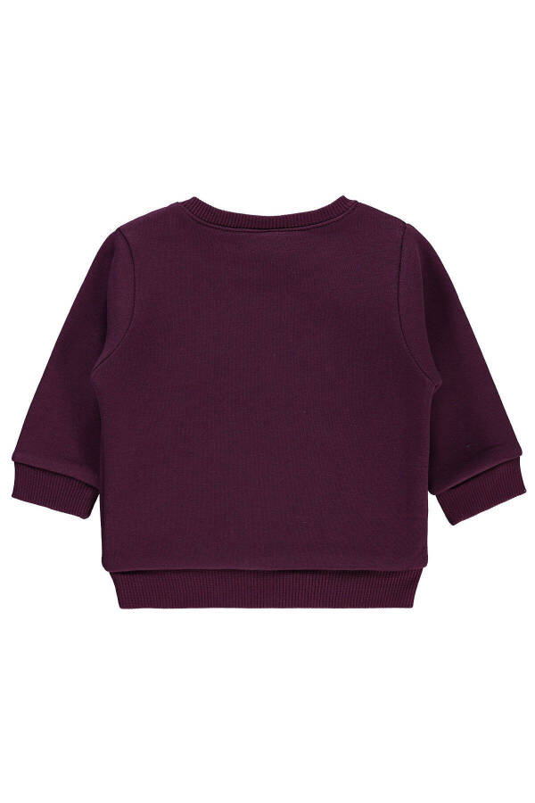 6-18 Ay Bebek Kız Pancar Moru Sweatshirt - 4