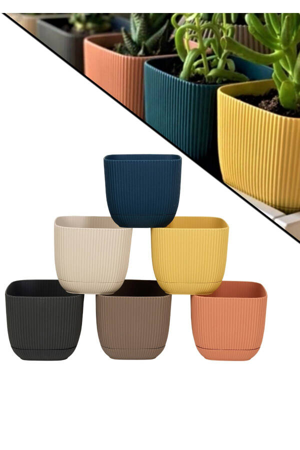 6 dona mini 6 rangli marjon kvadrat idish to'plami 6 dona - 3