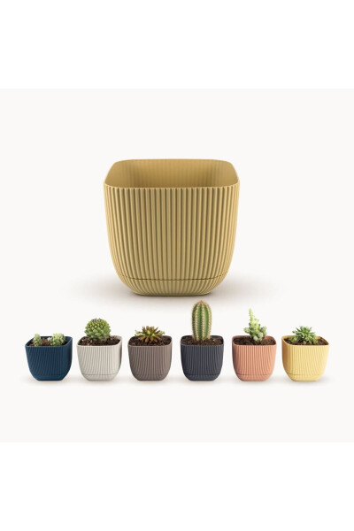 6 Pack 0.27 Liter Mixed Color Coral Square Pot Mini Size Plastic Tiny Cactus Succulent Pot - 18