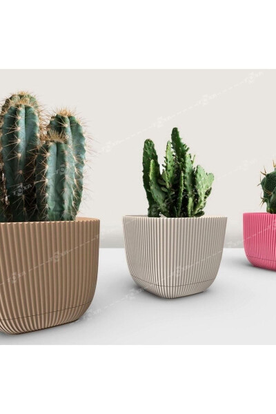 6 Pack 0.27 Liter Mixed Color Coral Square Pot Mini Size Plastic Tiny Cactus Succulent Pot - 21