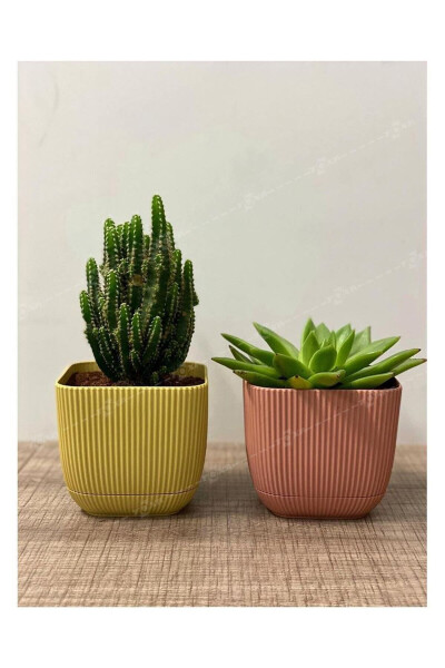 6 Pack 0.27 Liter Mixed Color Coral Square Pot Mini Size Plastic Tiny Cactus Succulent Pot - 22