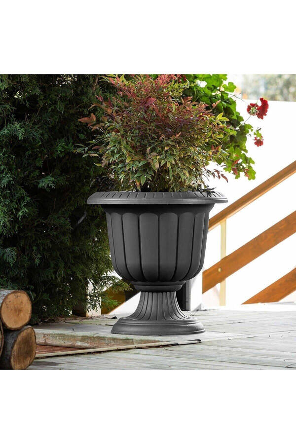 9.8 lt Narcissus Pot Anthracite Grey Leg Plastic Narcissus Pot No1 35 cm - 10