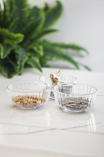 Acrylic Gold Bird Cookie Jar Serving Dish Sugar Bowl Transparent ( NOT GLASS & PORCELAIN ) - 1