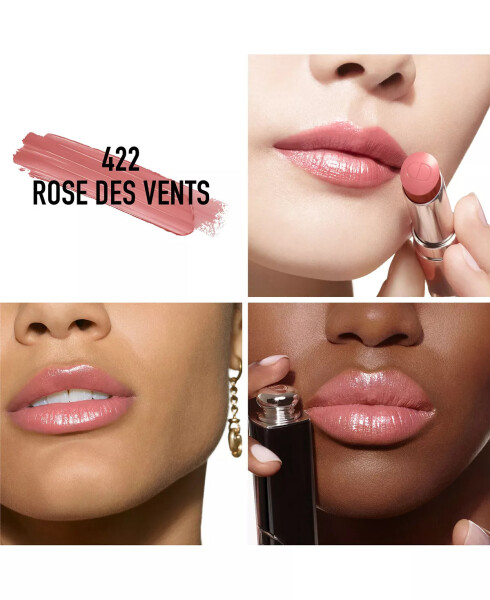 Addict Refillable Shine Lipstick 422 Rose des Vents (A nude pink) - 3