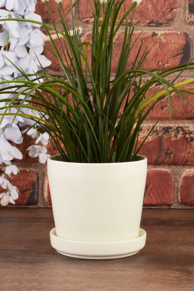 Angdesign Ceramic Pot with Plate 14 Cm Cream - 5