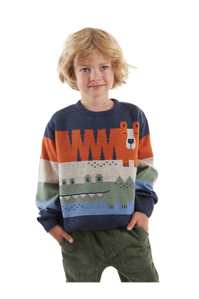 Animals Boys Sweater - 16