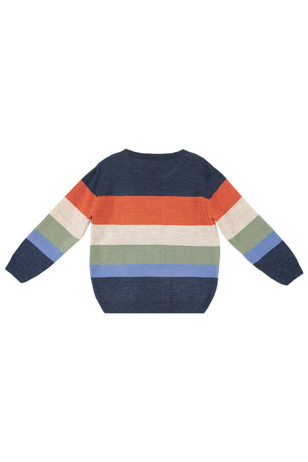 Animals Boys Sweater - 19