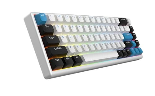 ARBITER Polar 65 - CNC Magnetic Gaming Keyboard w Rapid Trigger, Hall Effect Switches, CNC Aluminum Frame, Rapid Key, 65% Compact, Bright RGB, Dual-Shot PBT Keycaps - Kumo Blue - 1