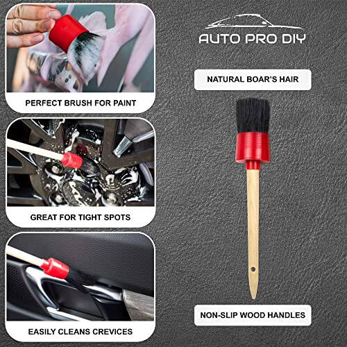 AUTO PRO DIY 11 Piece Car Detailing Kit Set - Car Wheels, Exterior, Interior Cleaning Detail Supplies - Boars Hair, Stainless Steel Wire, Duster Brushes - 3