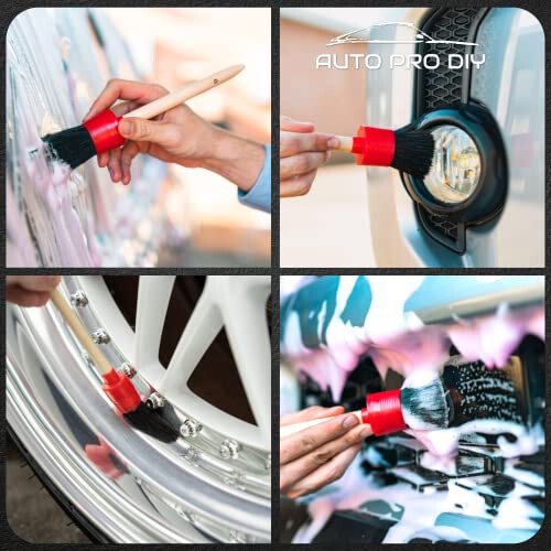 AUTO PRO DIY 11 Piece Car Detailing Kit Set - Car Wheels, Exterior, Interior Cleaning Detail Supplies - Boars Hair, Stainless Steel Wire, Duster Brushes - 6