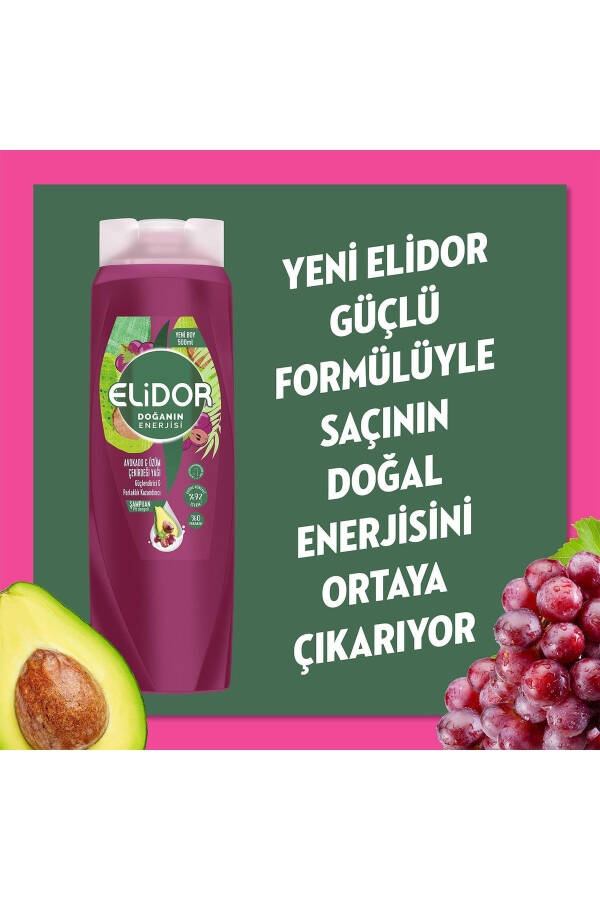 Avokado & Uzum Donasi Yog'i Shampo 500 ml - 4