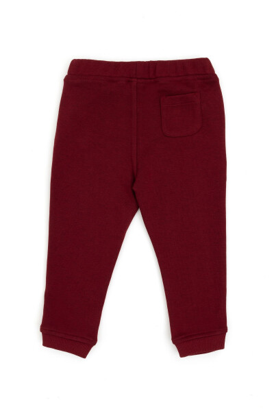 Baby Boy Burgundy Sweatpants 50276116-vr014 - 11