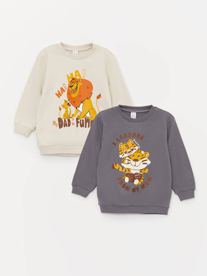 Baby Boy Long Sleeve Printed Sweatshirt with Crew Neck 2 Pack - 15