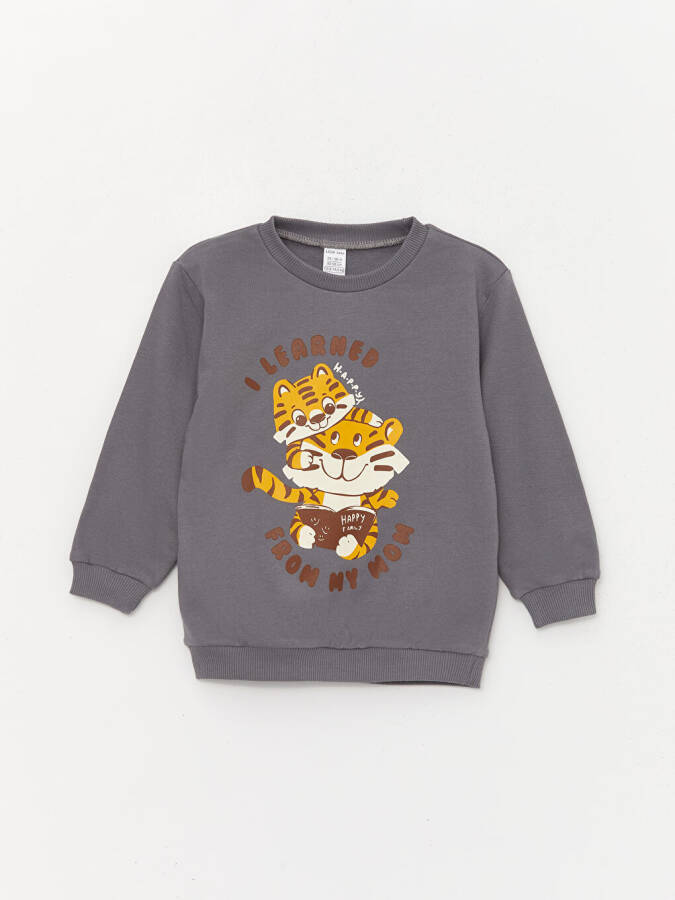 Baby Boy Long Sleeve Printed Sweatshirt with Crew Neck 2 Pack - 19