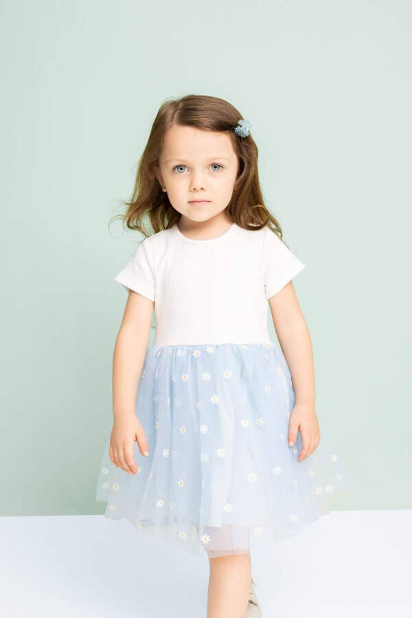 Baby Girl Floral Ribbed Bodice Short Sleeve Tutu Dress Light Blue - 3