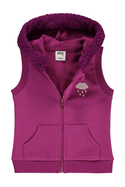 Baby Girl Hooded Vest 6-18 Months Purple - 11