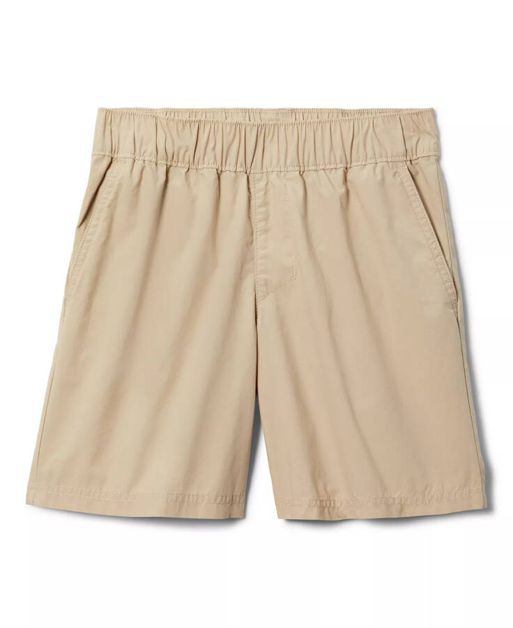 Big Boys Washed Out Shorts Ancient Fossil - 1