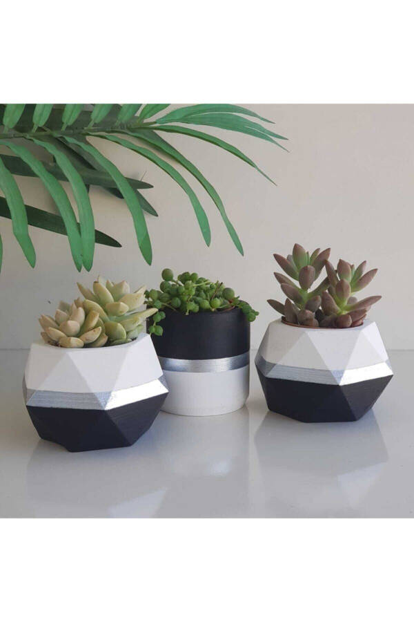 Black and White Silver Striped Planter Set - Cactus and Succulent Concrete Planter - 1