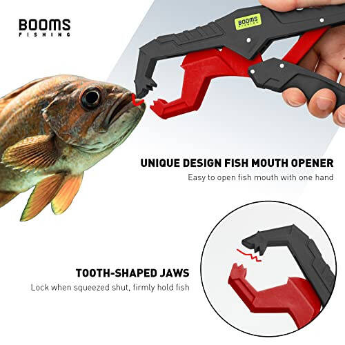 Booms Fishing TK1U 4 dona Balıkçılık Asboblar To'plami, Igna Burunli Balıkçılık Pense Tuzli Su, Balık Labi Qisqich, Geri Chekiluvchi Balıkçılık Qaychi, Yopishqoq Balık Chiziq, Muz Balıkçılığı Aksessuarlari - 2