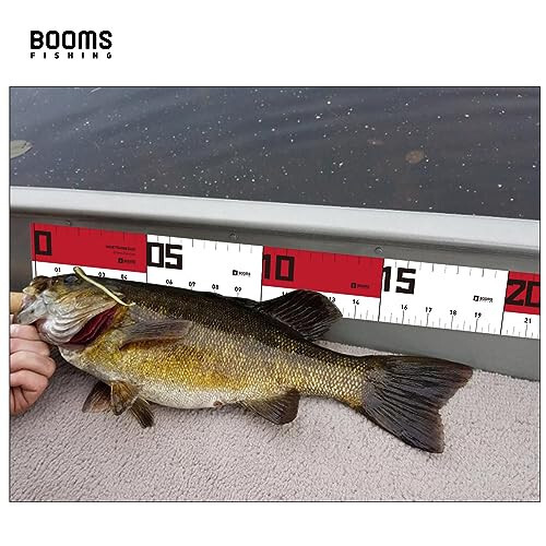 Booms Fishing TK1U 4 dona Balıkçılık Asboblar To'plami, Igna Burunli Balıkçılık Pense Tuzli Su, Balık Labi Qisqich, Geri Chekiluvchi Balıkçılık Qaychi, Yopishqoq Balık Chiziq, Muz Balıkçılığı Aksessuarlari - 5