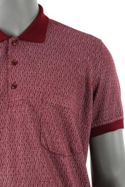 Bordo Klasik Kalıp Polo Yaka Erkek T-Shirt - 2