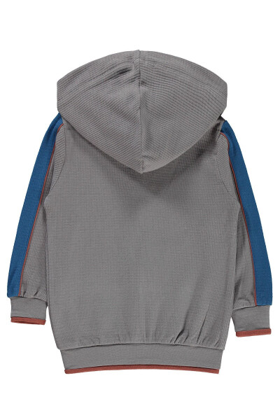 Boys Hooded Sweatshirt 2-5 Years Grey - 2