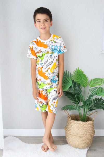 Boy's Printed Cotton Jersey Shorts Pajama Set - 9