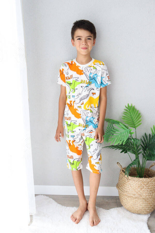 Boy's Printed Cotton Jersey Shorts Pajama Set - 13