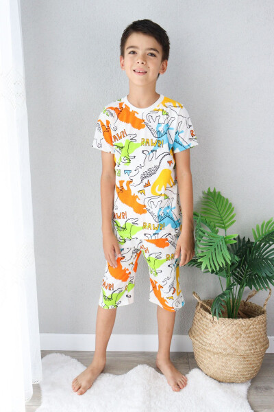 Boy's Printed Cotton Jersey Shorts Pajama Set - 15