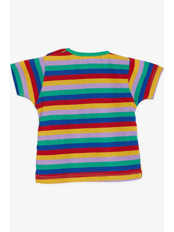 Boy's Striped Dog Print Multicolor T-Shirt (1-4 Years) - 2