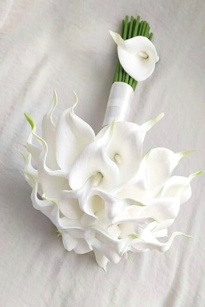 Bride's Bouquet Broken White Wet Gala Collar Flower - 1