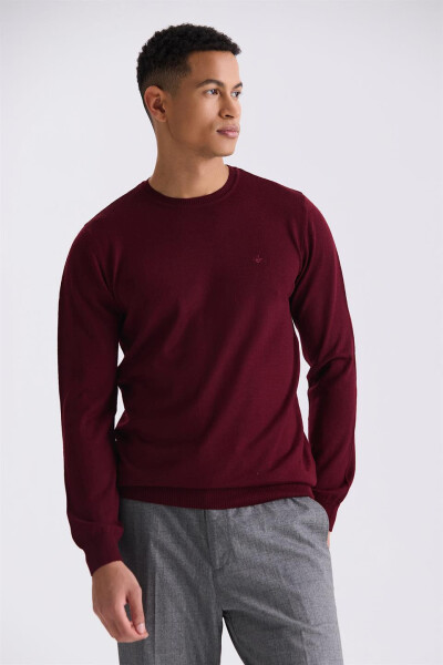 Burgundy Regular Fit Crew Neck Knit Sweater - 5