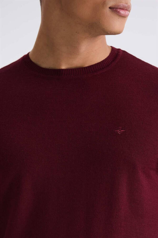 Burgundy Regular Fit Crew Neck Knit Sweater - 7